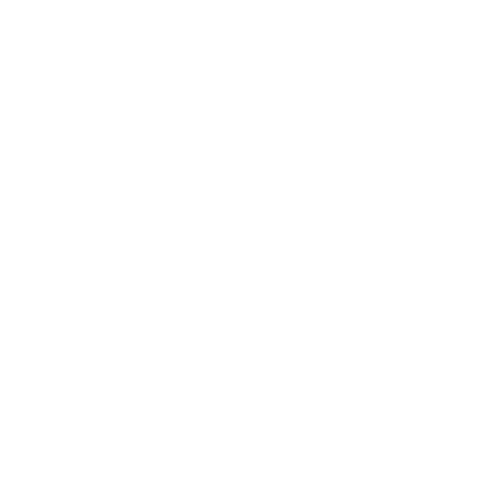 Sentinel Logo